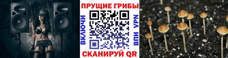 Псилоцибиновые грибы ЛСД  Купить закладки  Шуя 