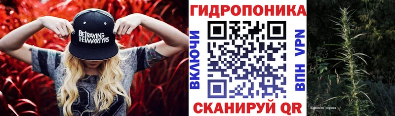 Каннабис семена  Купить  Шуя 